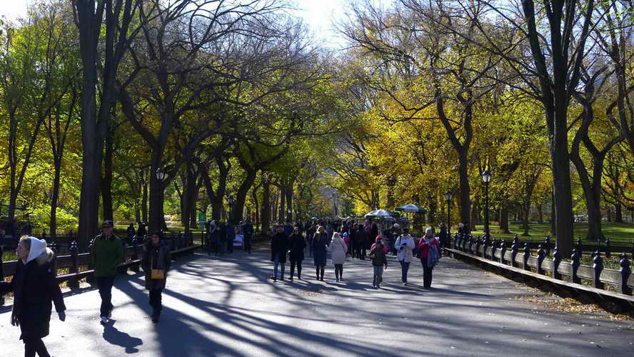 NYC_2017-11-23 11-13-55_P1140138